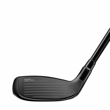 Taylor Made Stealth 2 Plus Hybrid