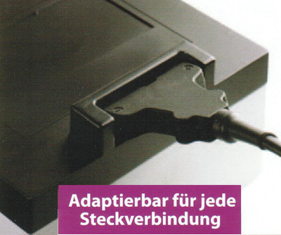 Pieper Lithium Akku & Ladegerät für alle Elektrowagen 27 Loch Akku