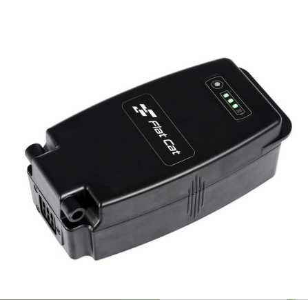 Flat Cat BATTERIE LI-ION Flat Cat BATTERIE LI-ION