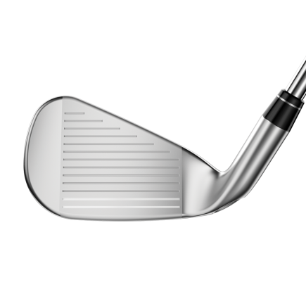 Callaway Big Bertha Reva Eisen